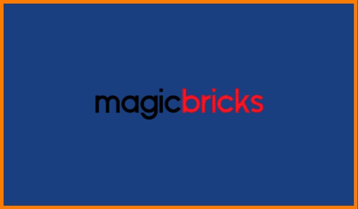 IG professional account